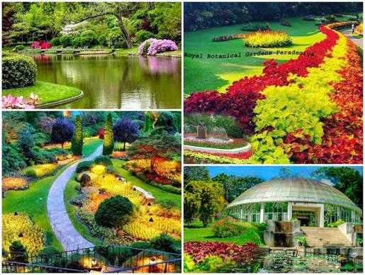  Botanical Garden is the best places in noida